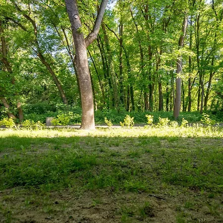 Pole Mokotowskie Comfort By Bookinghost * Warsaw